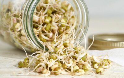 SAUTEED BEAN SPROUTS